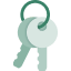 house keys icon